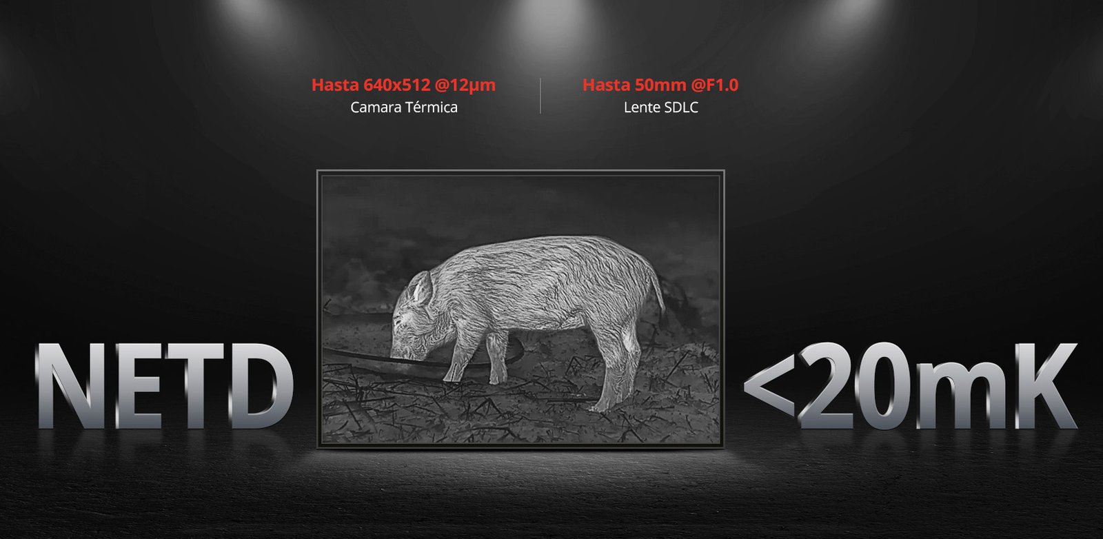 Condor-Imagen-01-M