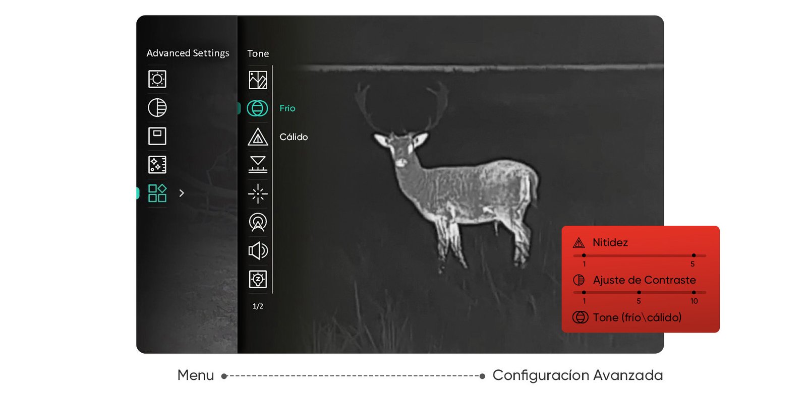 Condor-Imagen-10-M